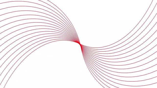 Abstract geometric rotate red line wave animation. White background 4k video.	