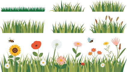 Colorful wildflower and grass illustration set with insects for meadow, biodiversity, and educational nature-themed design use.
