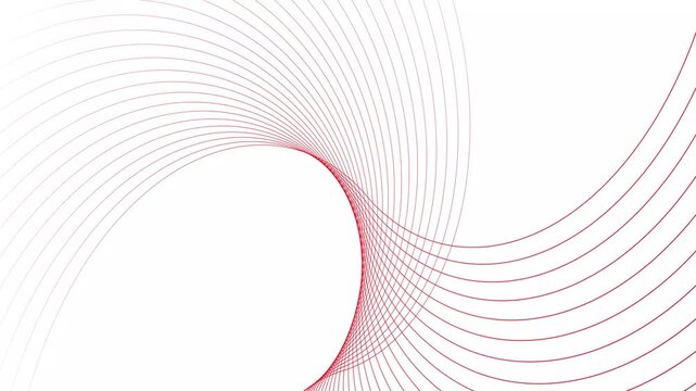 Abstract geometric rotate red line wave animation. White background 4k video.	