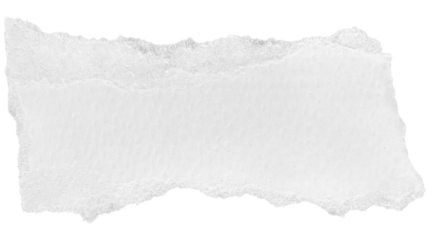 white torn paper background