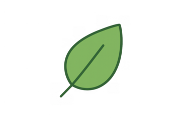 Green leaf icon representing nature, ecology, environment, growth, and sustainability with a transparent background