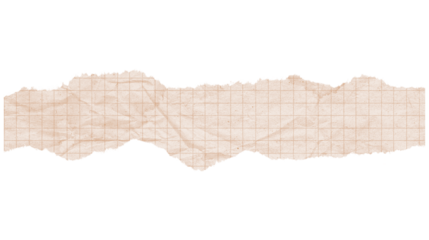 torn cardboard isolated on white