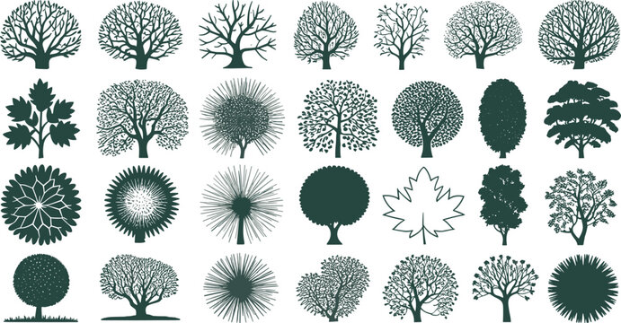 Stylized tree and leaf illustration set featuring diverse branching and foliage patterns for botanical, design, and educational themes.