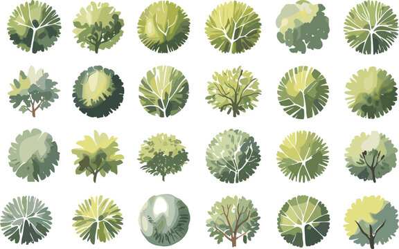 Top-down stylized tree canopy illustration set featuring diverse foliage shapes for landscape, design, and environmental themes.