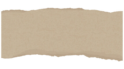 torn brown cardboard isolated on white