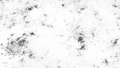 Fototapeta premium Black and white grunge urban texture with copy space. Abstract vintage texture. Background from cracks, breaks, stains. Grunge cracks, damage, to create the design