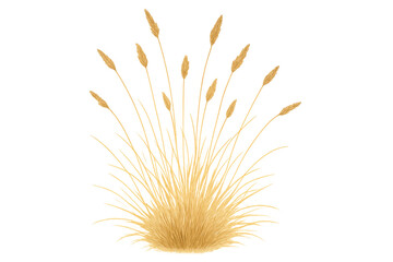 Naklejka premium Dry golden grass bush with seeds, autumn season, natural plant growing, transparent background