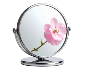 A round vanity mirror standing upright with a single delicate pink flower resting at