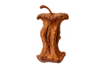 Rotten apple core with dried brown skin, showing food waste, decay, and the passage of time on a transparent background