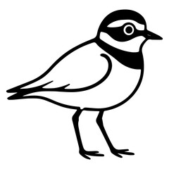 Minimalist black-and-white illustration of a little ringed plover standing on slender legs, showing the bold head band and eye ring as a clean vector icon.