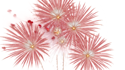 Sparkling fireworks to celebrate,Anniversary party concept.