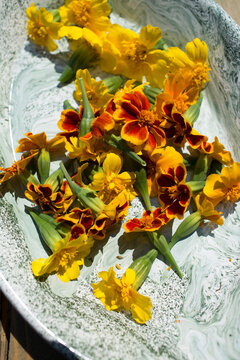 Fresh Yellow and Orange Marigold Flowers in Marbled Ceramic Bowl