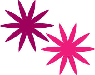 Abstract floral design with vibrant pink and purple petals on transparent background, two stylized flowers with a modern, minimalist aesthetic