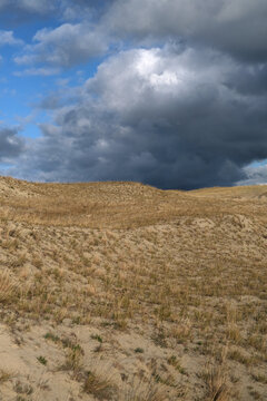 Golden Sand Dunes with Dry Grass Under Dramatic Sky