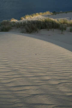 Textured Sand Dunes with Wavy Patterns and Golden Evening Light