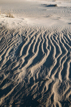Intricate Sand Ripples and Shadows on Desert Dune