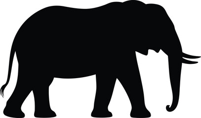 Fototapeta premium Elephant silhouette majestic wildlife icon in black and white