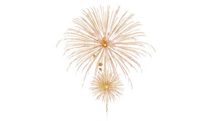 Obraz premium Sparkling fireworks to celebrate,Anniversary party concept.