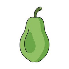 green papaya vegetable vector illustration