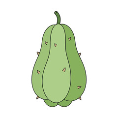 chayote vegetable vector illustration