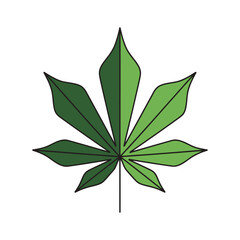 cassava leaf vector illustration