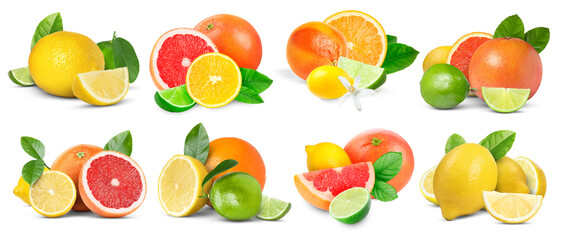Set of various citrus fruits isolated on white