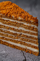 Honey cake slice with layered cream filling on a cracked gray concrete background, close-up dessert photography