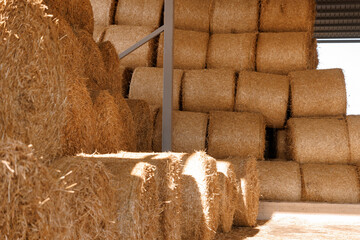 Stacked hay bales in barn with sunlit straw textures