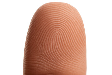 Human finger showing unique fingerprint pattern, representing identity, security, authentication, and biometric data on transparent background