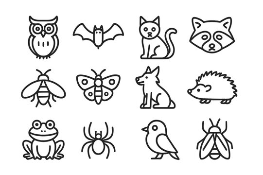 Nocturnal Line Icons. Night Creatures. Line icon set of Night Creatures: owl, bat, cat, raccoon, firefly, moth, wolf, hedgehog, frog, spider, nocturnal bird,