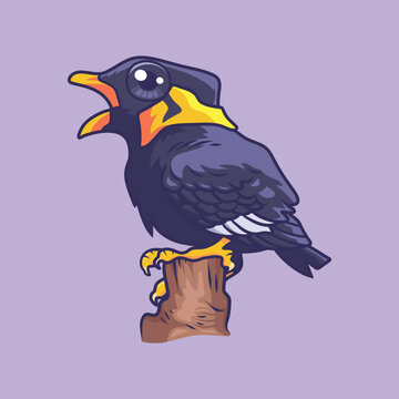 Cute beo parrot bird animal cartoon character vector Illustration