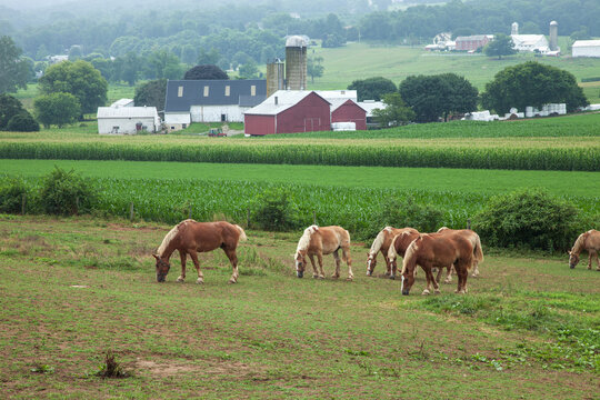 Farms hills and horses in Lancaster County Pennsylvania Amish country
