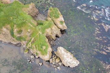 Aerial view of the rocky shore in Tikhaya Bay on Sakhalin Island