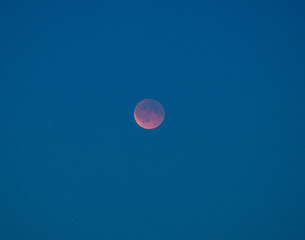 Blood moon from CPH, Denmark