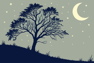 Minimal night sky scene with a crescent moon and stars