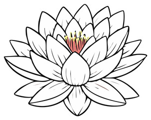 Fototapeta premium Stylized line art illustration of a beautiful blooming white lotus flower