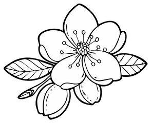 Monochrome botanical illustration of a blooming flower with delicate buds and leaves