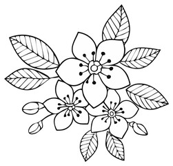 Hand drawn floral illustration of blossoming spring flowers with leaves in a simple line art style.