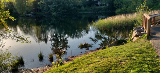 A glassy lake surface with reflections of trees and sky at the park