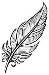 Obraz premium Elegant hand drawn black and white feather illustration with intricate details