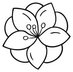 Simple black outline drawing of a blooming flower with petals and detailed central stamens