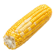 Fresh sweet corn on the cob, vibrant yellow food