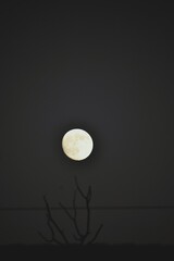 Full Moon Over Minimal Night