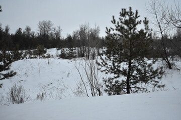 Winter landscape with frozen lake, trees and snow-covered land