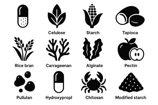 Vector icon capsule gelatin bio carrageenan alginate starch methylcellulose cellulose hydroxypropyl modified
