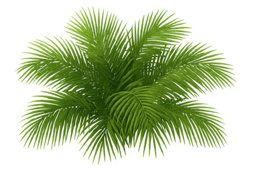 Naklejka premium Green tropical palm frond leaves on transparent background providing summer vacation nature design element