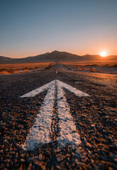 Obraz premium A straight road with an arrow painted on it leading to the horizon, symbolizing goal setting and achievement