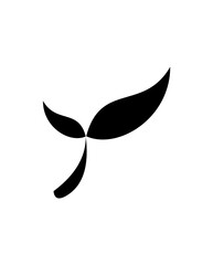 vector illustration of an abstract leaf