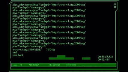 Computer screen displaying code and data in green text.