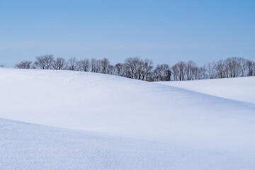 Fototapeta premium The gentle snowy landscape depicted by the light